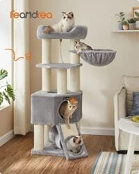 Feandrea Cat Tree för stora katter, kattträd - Bild 2